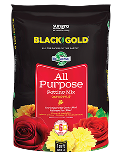 Black Gold Enriched All Purpose Potting Mix 12L