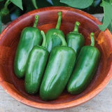 Pepper - Jalapeno Gigante