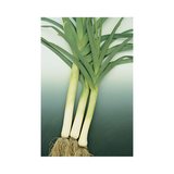 Leeks - King Richard