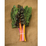 Swiss Chard - Bright Lights