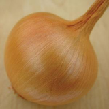 Onion - Yellow Sweet Spanish
