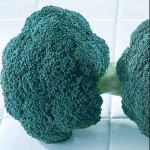 Broccoli - Destiny