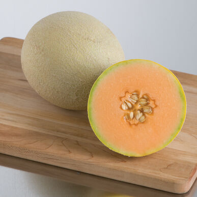 Melon - Sarah's Choice (Cantelope)