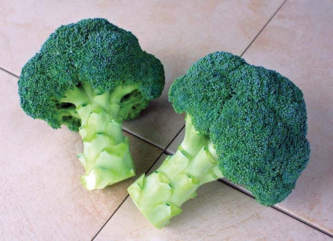Broccoli - Millennium