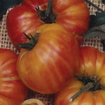 Tomato Heirloom -  Old German