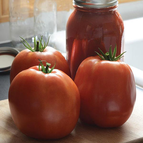 Tomato - Burpee's SuperSauce®