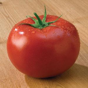 Tomato - Tasti-Lee