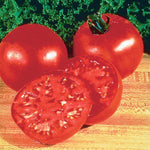 Tomato - Burpee's Big Boy®