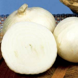 Onion - Solstice White Spanish