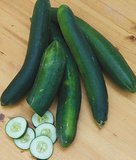 Cucumber -  Sweet Success