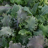 Lettuce - Simply Salad Kale Storm Mixture