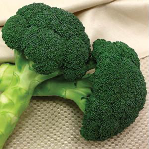 Broccoli - Green Magic
