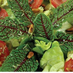 Lettuce - Raspberry Dressing Rumex